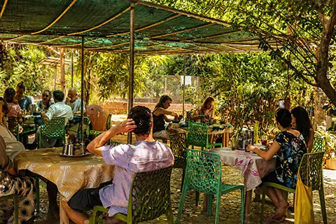 Farm café near Auroville
