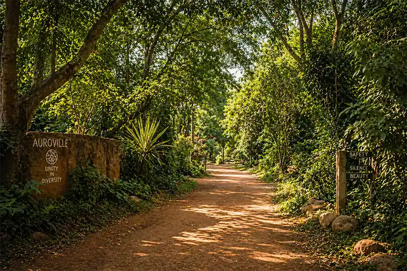 Quiet green paths around Auroville near Surya Villa
