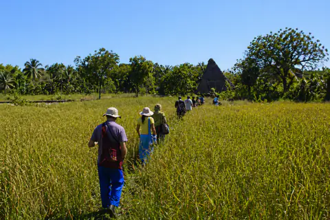 Solitude Farm in Auroville
